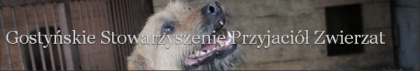  - gostynskie_stowarzyszenie.jpg